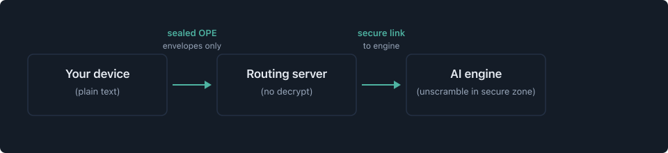Three-zone confidential chat mental model: your device, routing server, and AI engine